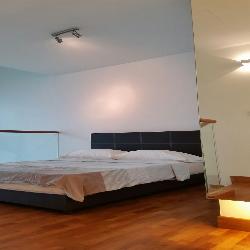 The Rochester Residences (D5), Apartment #49155122
